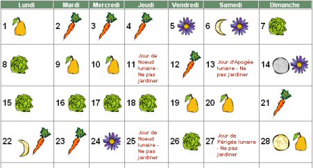 Jardiner Avec La Lune Come4News