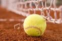Tennis : Qui va gagner Roland-Garros ?