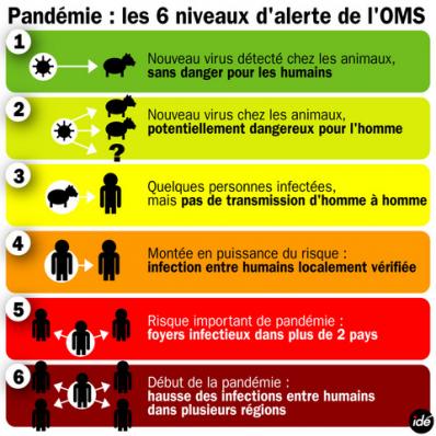 L’alerte A H1N1 passera au niveau 6!