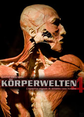 KÖRPERWELTEN : une exposition à corps ouvert.