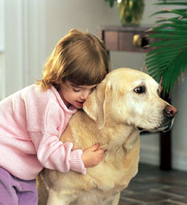 Les enfants face aux animaux de compagnie