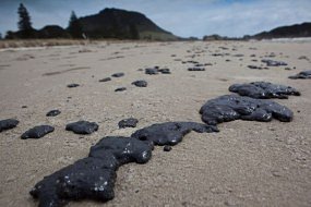 Le Rena, encore une marée noire.