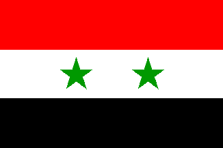 La Syrie et les observateurs