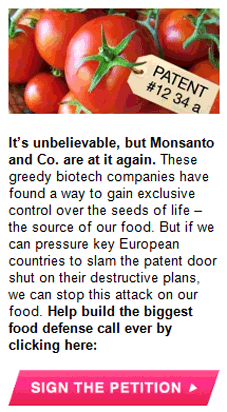 Avaaz contre Mosanto : la guerre du concombre au melon