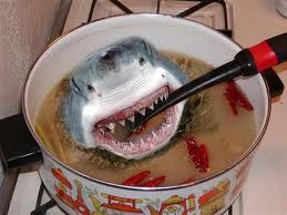 La soupe d’ailerons de requins, quelles sont réellement les conséquences ?