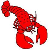 Les Lobster Rolls et nous…