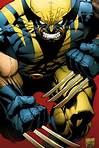 Wolverine : Le plus féroce des super-héros