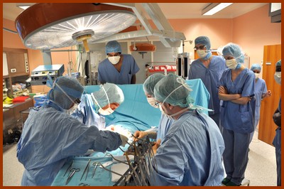 La « Surfusion », un nouvel espoir pour la greffe d’organes…