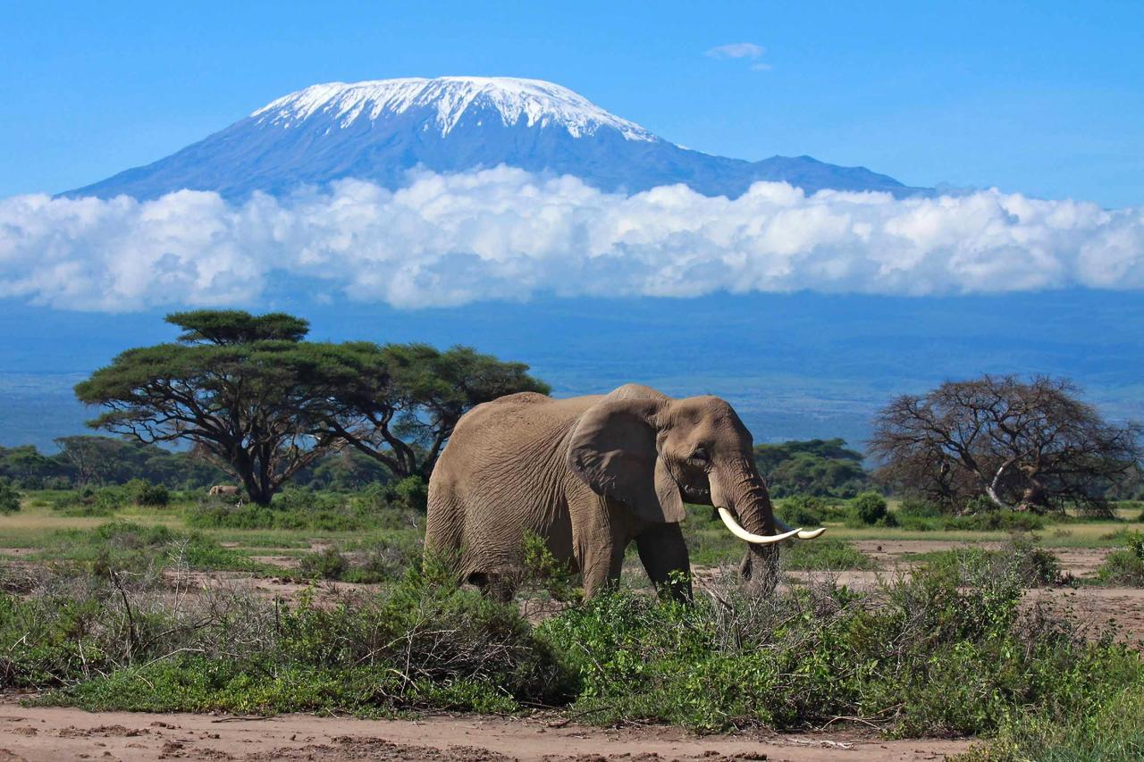 Le safari Tanzanie : voyage touristique de découverte