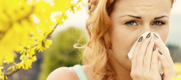 Allergies aux pollens et rhume des foins : comment s’en protéger ?